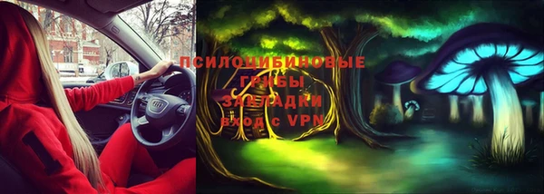 ПСИЛОЦИБИНОВЫЕ ГРИБЫ Сатка