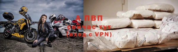 стафф Саяногорск