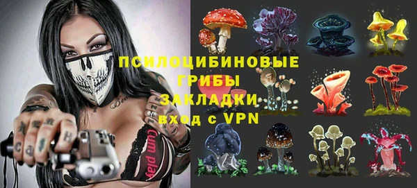 стафф Саяногорск