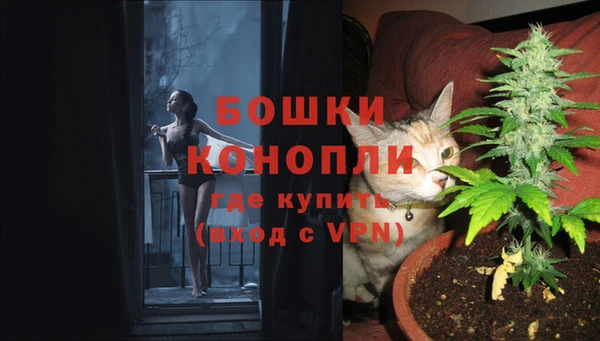 амф Сафоново