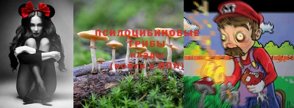 стафф Саяногорск