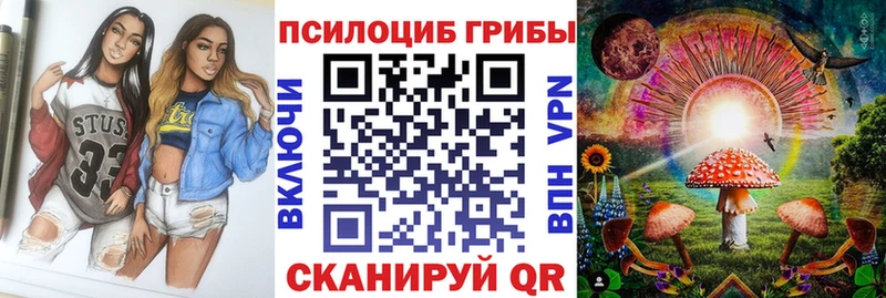 купить  цена  ОМГ ОМГ маркетплейс  Псилоцибиновые грибы мицелий  Александровск 